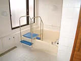 センチュリーシルバー花山