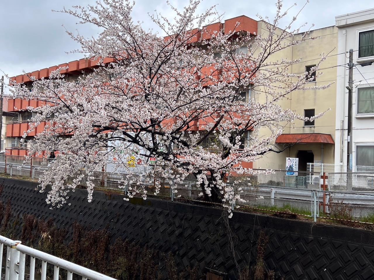 総生会ロイヤルホーム