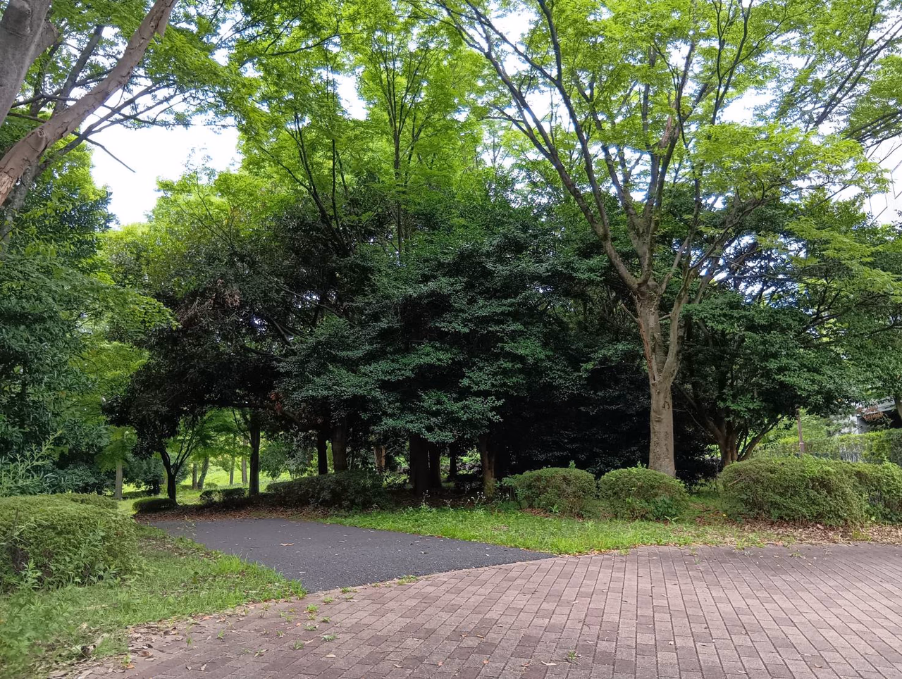 多摩永山ガーデン
